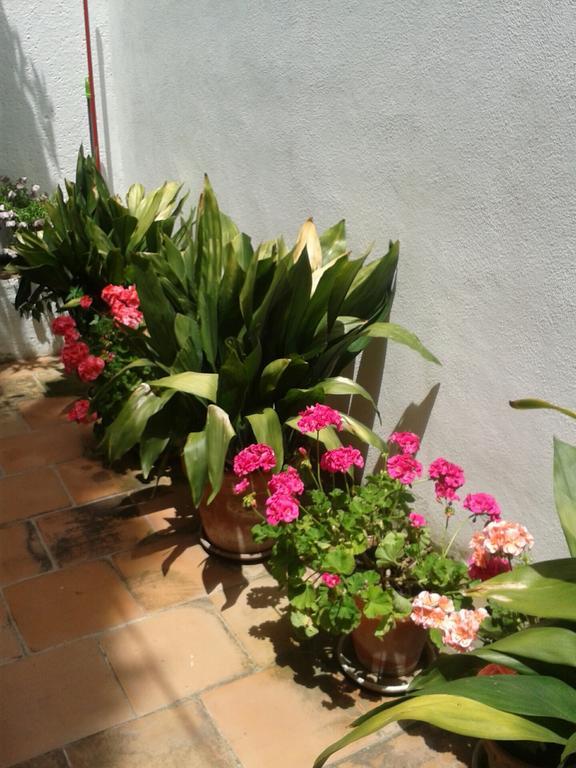 Hotel La Casita Del Corralon Grenada Pokój zdjęcie