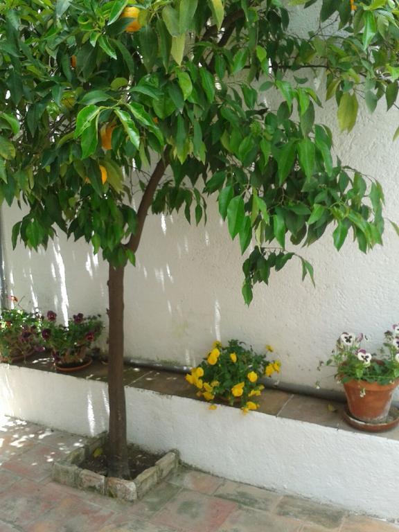 Hotel La Casita Del Corralon Grenada Pokój zdjęcie